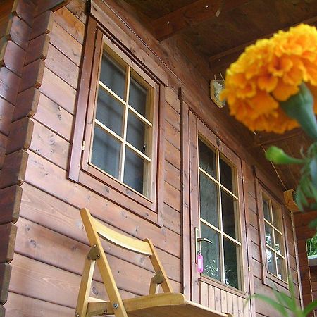 Onur Motel Faralya Zewnętrze zdjęcie