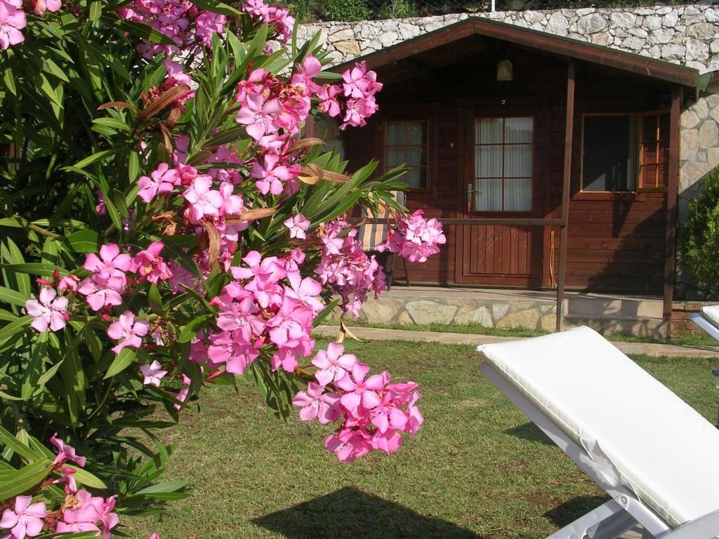 Onur Motel Faralya Zewnętrze zdjęcie