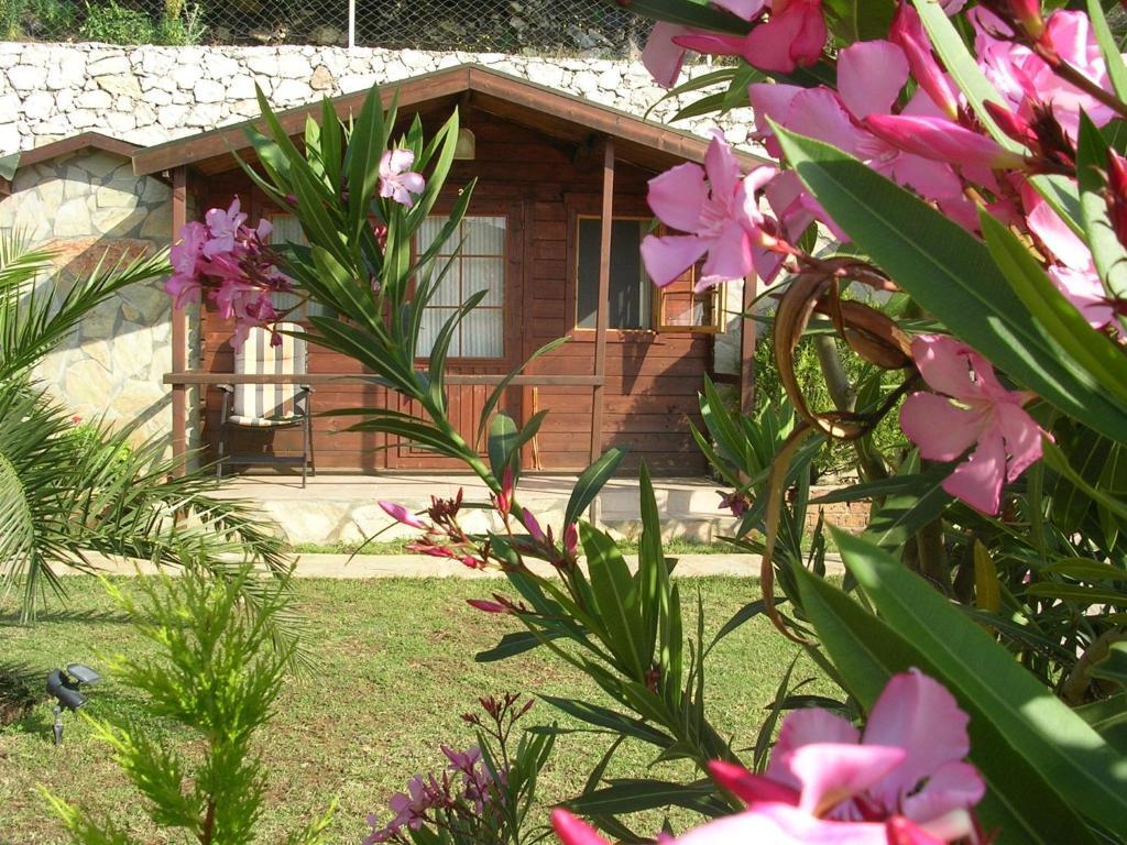 Onur Motel Faralya Zewnętrze zdjęcie